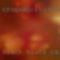 Black sluts Calais