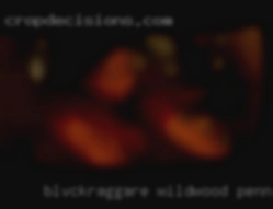BlvckRaggare Wildwood Pennsylvania