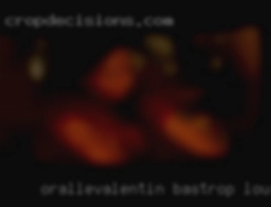 oralleValentin Bastrop Louisiana