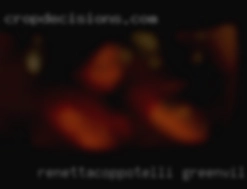 renettacoppotelli Greenville South Carolina