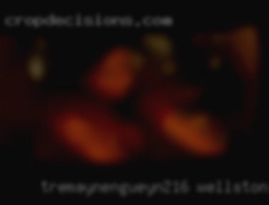 tremayneNgueyn216 Wellston Michigan