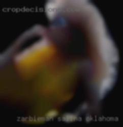 Zarbieman Salina Oklahoma